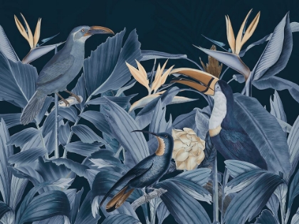 Picture of RAINFOREST BIRDS BLUE