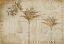 Picture of TROPICAL ENCYCLOPEDIA