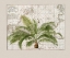 Picture of TROPICAL EMPIRE NO1
