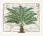 Picture of TROPICAL EMPIRE NO5