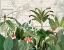 Picture of EXOTIC WILDLIFE 005
