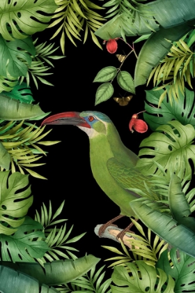 Picture of JUNGLE WITH GREEN TOUCAN