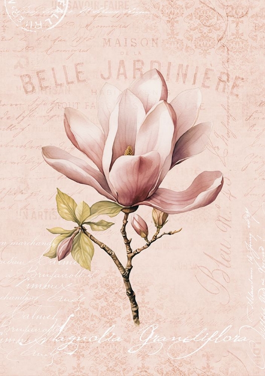 Picture of MAGNOLIA BLUSH NO2