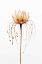 Picture of TENTACLE FLOWER