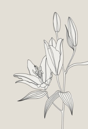 Picture of LINE ART LILLIES IN BEIGE