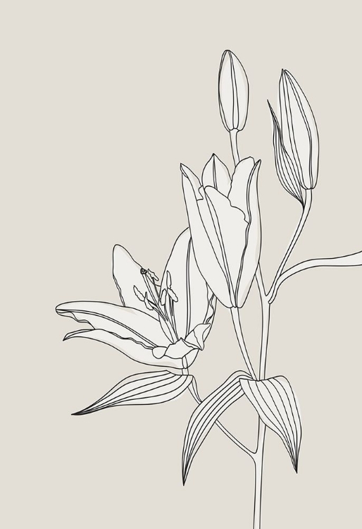 Picture of LINE ART LILLIES IN BEIGE