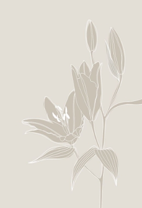 Picture of LINE ART LILLIES IN WHITE