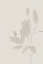Picture of LINE ART LILLIES IN WHITE