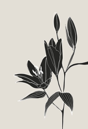 Picture of LINE ART LILLIES IN BLACK