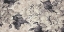 Picture of PANO FLOWER01XCL
