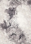 Picture of POSTER 50X70 FLOWER01XC HL