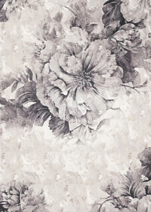 Picture of POSTER 50X70 FLOWER01XD HL