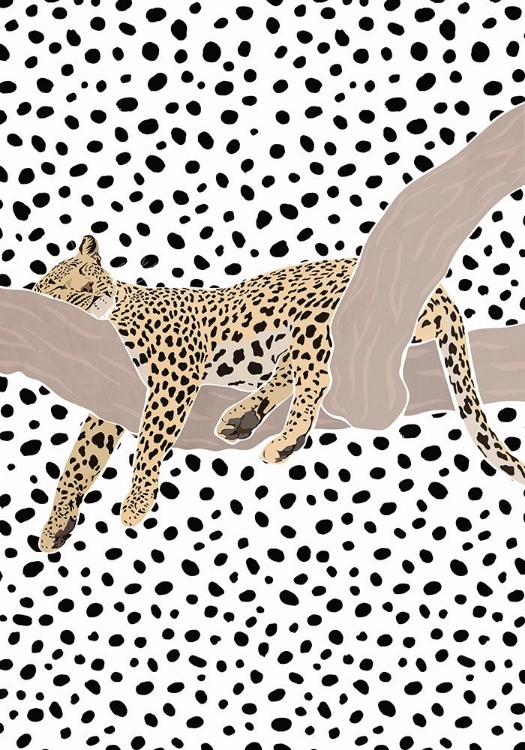 Picture of LEOPARD SLEEPING POLKADOTS