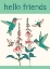 Picture of HUMMING BIRDS HELLO FRIENDS