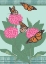 Picture of MONARCHS AND MILKWEED