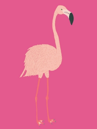 Picture of PINK FLAMINGO