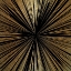 Picture of BURST GOLD 1