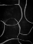Picture of TRAPPED MOVEMENT 2