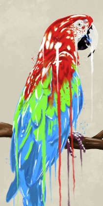 Picture of PARROT HOT DRIP 1