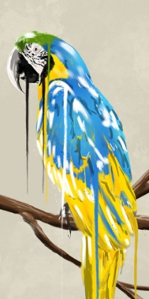 Picture of PARROT HOT DRIP 2