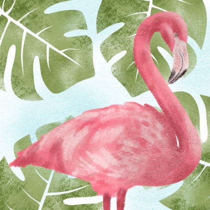 Picture of EMERGING FLAMINGO