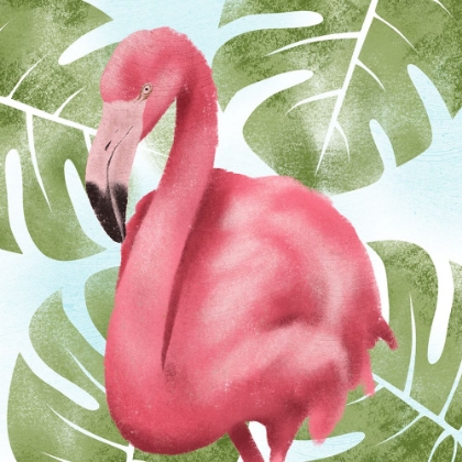 Picture of EMERGING FLAMINGO 2