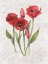 Picture of RED TULIP 1