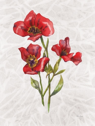 Picture of RED TULIP 2