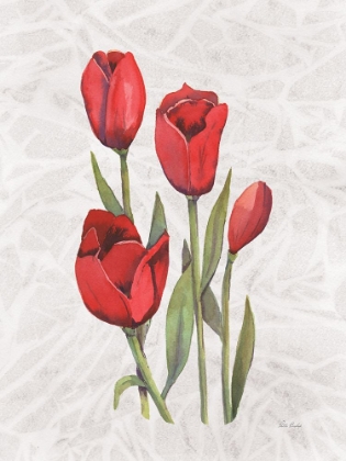 Picture of RED TULIP 3