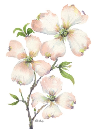 Picture of DOGWOOD BUNCH