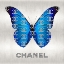 Picture of FASHION BUTTERFLY I