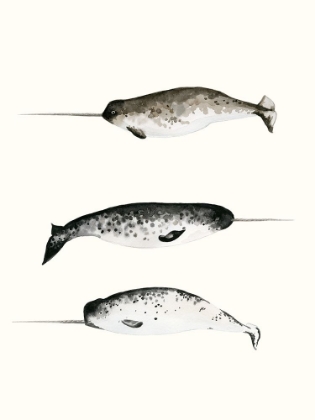 Picture of NARWHALS