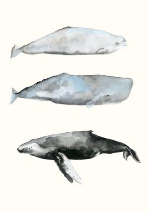 Picture of WHALE GROUPING 1