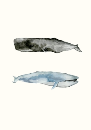 Picture of WHALE GROUPING 2