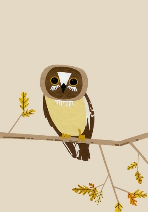 Picture of OWL