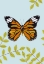 Picture of MONARCH