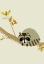 Picture of RACCOON
