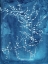 Picture of NATURAL FORMS BLUE 2
