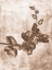 Picture of SEPIA FLOWER INVERSIONS 7