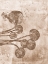 Picture of SEPIA FLOWER INVERSIONS 9