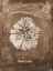 Picture of NATURAL FORMS SEPIA 6