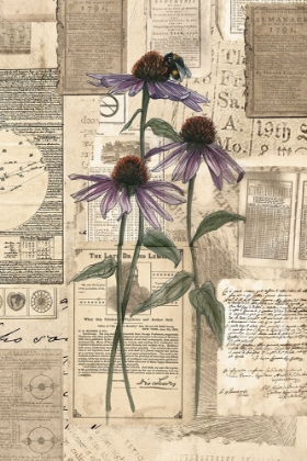 Picture of ACADEMIC PURPLE WILDFLOWER ILLUSTRATION