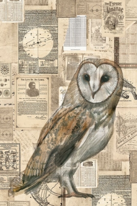 Picture of ACADEMIC OWL ILLUSTRATION