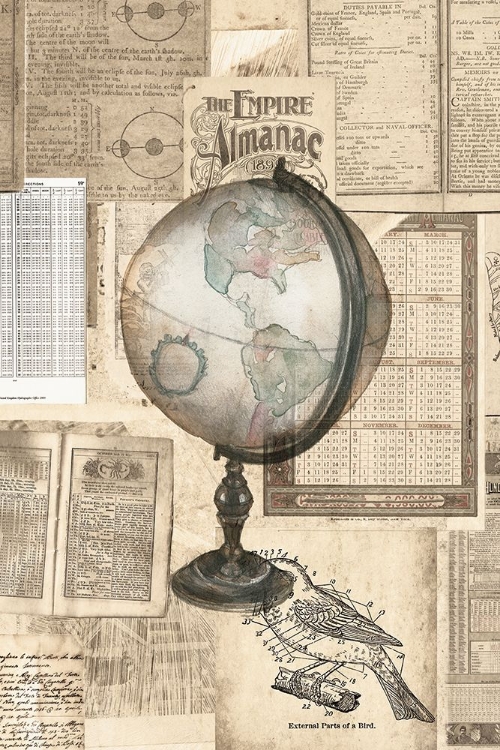 Picture of ACADEMIC GLOBE ILLUSTRATION