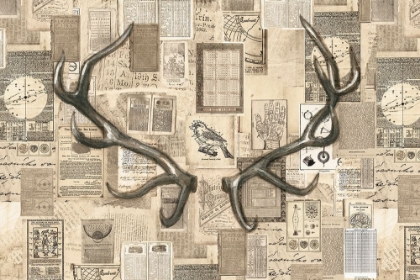 Picture of ACADEMIC ANTLER ILLUSTRATION