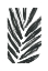 Picture of PALMS