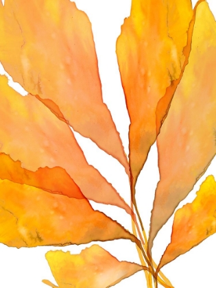Picture of AUTUMN LEAVES 3