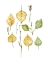 Picture of BIRCH PARTS