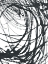 Picture of UNDULATING ORBIT 2