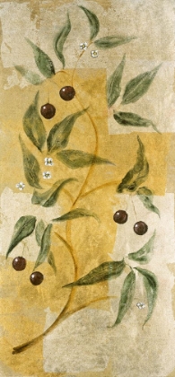 Picture of GOLDEN CHERRIES